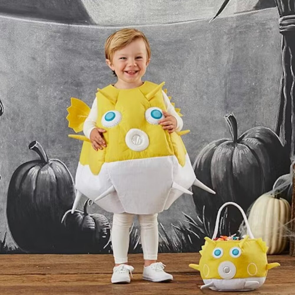 Pottery Barn Kids Costume Puffer Fish 4-6 years